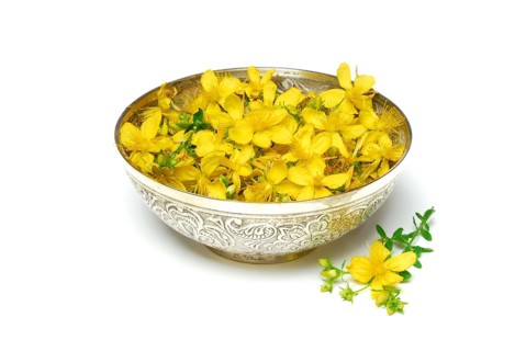 Spotted St. John's wort (Hypericum perforatum) , flowers in bowl