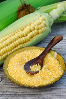 Polenta, maize, maize semolina, maize semolina, corn on the corn corn corn corn corn corn corn corn