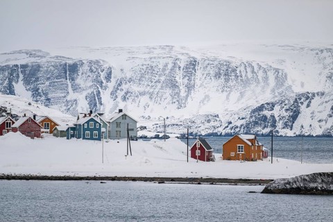 Colourful houses in a snowy landscape, fishing village Kongsfjord, Berlevåg, Varanger Peninsula,