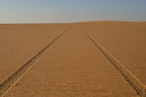 Car tracks in the sand in the Nubian Desert in Dongola, Northern, Nubia, Sudan, Africa