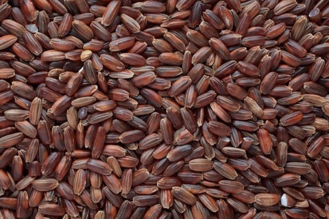 Red rice, Camargue rice from France, rice variety with a red bran layer, usually offered as brown