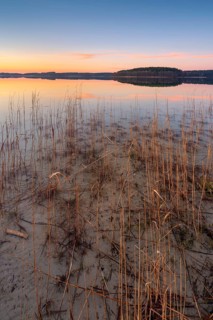 Great Lake Fürstensee with reeds at sunset, Müritz National Park, Fürstensee, Mecklenburg-Western
