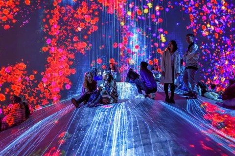Digital Art Museum, Epson Team Lab Borderless, Odaiba Island, Tokyo, Japan, Asia