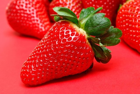 (Fragaria x ananassa) strawberry
