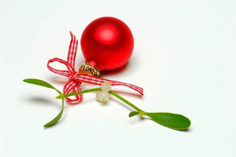 Red Christmas tree ball and mistletoe