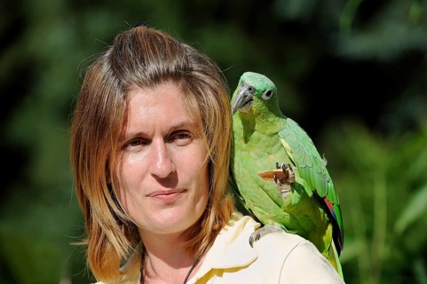 Woman with Salvadori miller amazon (Amazona farinosa virenticeps), France, Europe