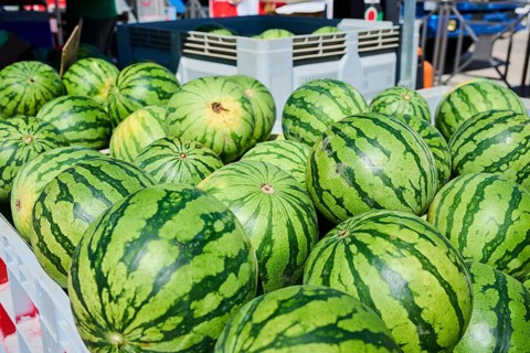 Market stall with wter melons on a weekle market near Tarragona, Catalonia, Spain, Europe