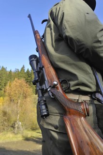Hunter with shotgun and scope in the Ardennes, Belgium, Europe
