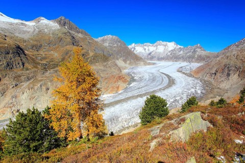 Great Aletsch Glacier and Wannenhorns, Valais, Switzerland, Europe