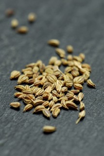 Ajwain-Seeds (Trachyspermum ammi) , Bishop's wort