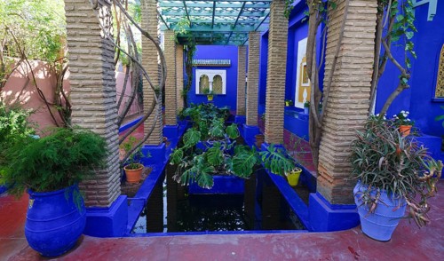Morocco, Jardin Majorelle Botanical Garden in Marrakech, Africa