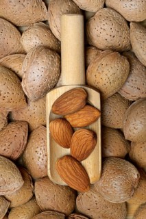 Almond kernels and almonds (Prunus dulcis)