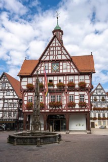 Town hall and market fountain in the old town of Bad Urach, Reutlingen district, Baden-Württemberg,