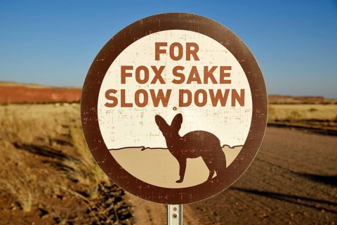 Sign Caution Bat-eared foxes (Otocyon megalotis), Gondwana Namib Park, near Sesriem, Hardap Region,