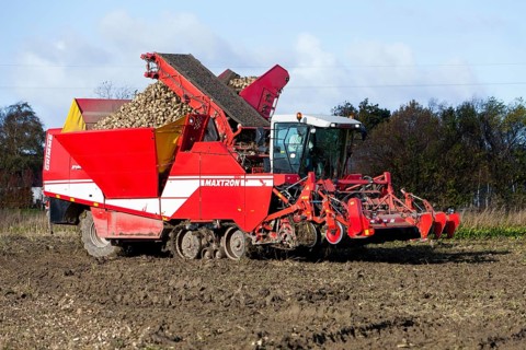 Sugar beet harvesting, sugar beet, harvester, harvester, Sealand, Denmark, Europe