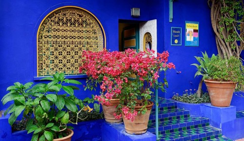Morocco, Jardin Majorelle Botanical Garden in Marrakech, Africa