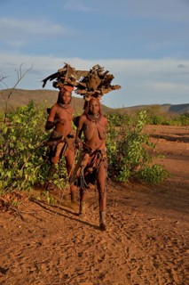 Himba women gathering wood, Ombombo, Kaokoland, Kunene, Namibia, Africa