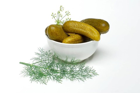 Gherkins in shell, with Dill (Anethum graveolens) (Cucumis spec.) , pickled gherkin, cucumber,
