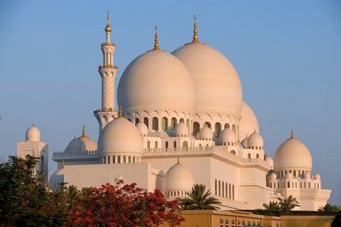 Sheikh Zayed Mosque, Domes, Abu Dhabi City, Emirate of Abu Dhabi, United Arab Emirates, Asia