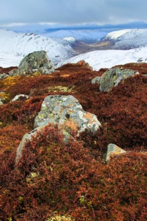 Glenshee, Cairngorms National Park, Scotland, United Kingdom, Europe