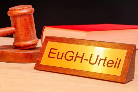 Symbolic image ECJ (European Court of Justice) : Judge's gavel next to a brass plate with the