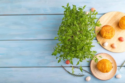 Homemade cakes with chocolate eggs and mizuna cabbage microgreen on a blue wooden background. top
