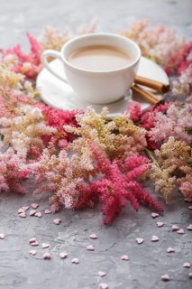 Pink and red astilbe flowers and a cup of coffee on a gray concrete background. Morninig, spring,