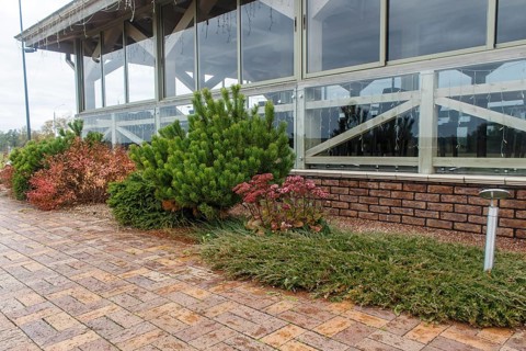 Modern restaurant with green lawn, tile path and landscape design with ornamental grasses and