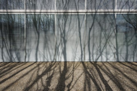 Modern architecture, office building, architects Sejima & Nishizawa (SANAA), Novartis Campus,