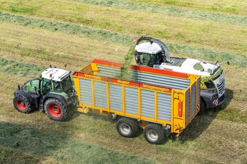 Hay harvest, on a Rhine meadow near Duisburg-Beeckerwerth, a forage harvester picks up the cut