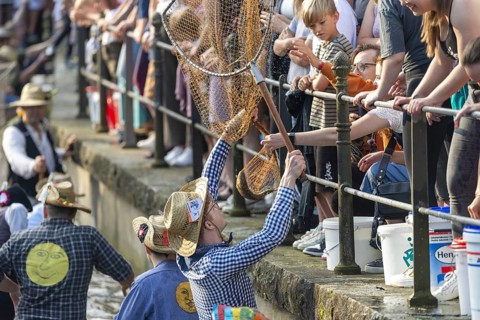Fishing out the town stream, fishing day in Memmingen, Unterallgäu, Allgäu, Bavaria, Germany,