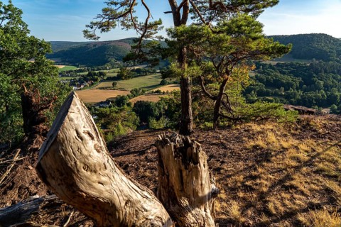 Landscape in the Rureifel, view of the countryside, near Nideggen, Düren district, North