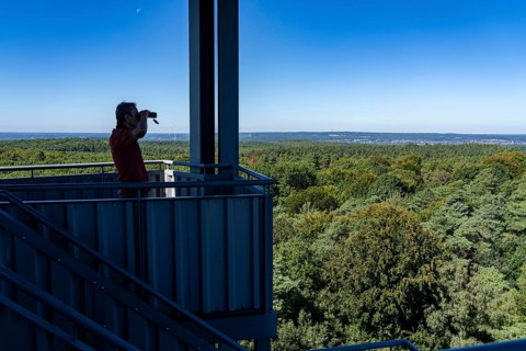 Fire watch tower on the Rennberg, near Flaesheim, Haltern am See, in the Haard forest area, one of