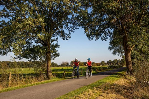 Cyclist, cycle tour in the Dingdener Heide nature reserve, heath and moorland landscape, north of