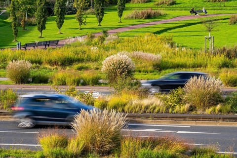 Greenery in the city centre, flower and plant beds, along Altendorfer Strasse, road traffic, in