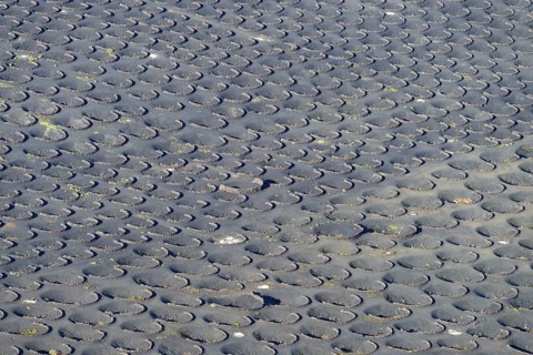La Geria wine-growing region, Lanzarote, Canary Islands, Spain, Europe