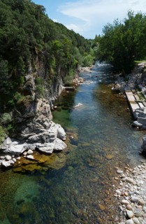 Klarer Fluss, der durch eine felsige, bewaldete Landschaft fließt, mit grünem Ufer und blauem