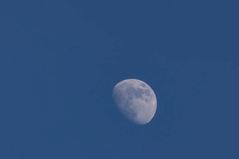 Moon in the waxing gibbous phase in the night sky, Suffolk, England, United Kingdom, Europe