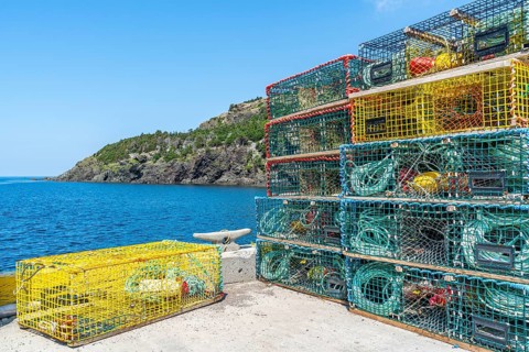 Stack of lobster pots in the harbour of the fishing village of Lark Harbour, Bay of Islands,