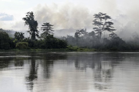 Fog over the rainforest along the Sangha River, Dzanga-Sangha Complex of Protected Areas (DSPAC),