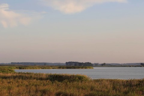 On the Baltic Sea near Peenemünde, September, Mecklenburg-Western Pomerania, Germany, Europe