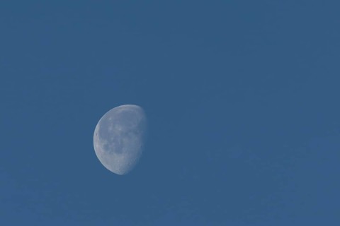 The moon at the waning gibbous stage in the evening sky, England, United Kingdom, Europe