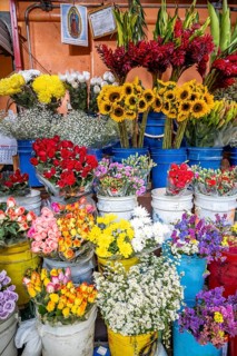 Market stallSales stall with cut flowers, Mercado Central de San José, San José, Costa Rica,