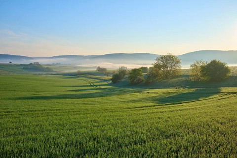 Morning landscape with meadows and trees in the fog, sunrise behind hills, Mönchberg, Miltenberg,