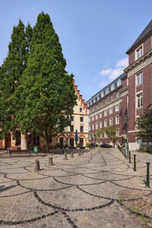 Mediterranean cypress (Cupressus sempervirens) and historic brick buildings on Liefergasse in the