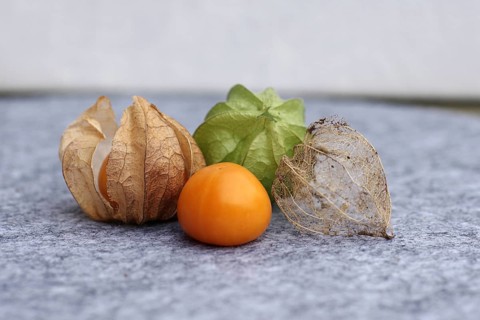 Bladder cherry (phyalis), husk, calyx, cape gooseberry, fruit, ripening period, The fruit of the