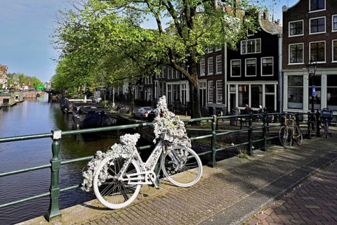White bicycle decorated with flowers on a bridge by a canal, Amsterdam, Province of North Holland,