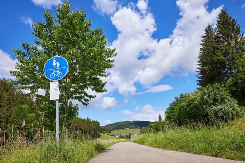 Cycle path with traffic sign for combined footpath and cycle path, cumulus clouds and tree from the