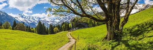 Berggasthof Hochleite, behind it the Allgäu Alps, Allgäu, Bavaria, Germany, Europe