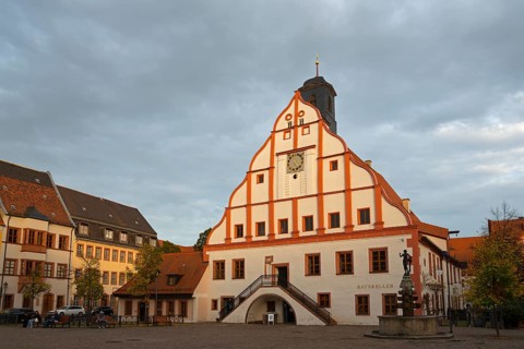 Historic town hall with clock tower on a cobbled square in the evening sun, town hall, market